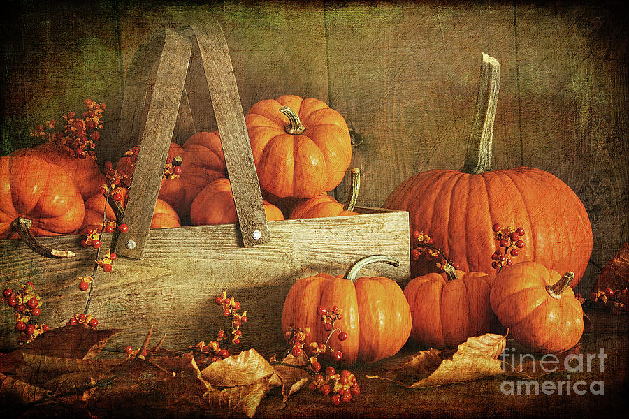 Colorful pumpkins with wood background #1 Photograph by Sandra Cunningham
