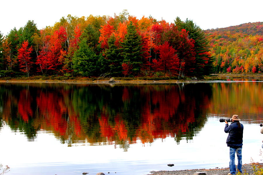 Fall Photograph - Colorful reflection #1 by Arie Arik Chen