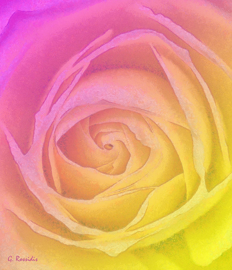 Colorful rose II #1 Painting by George Rossidis