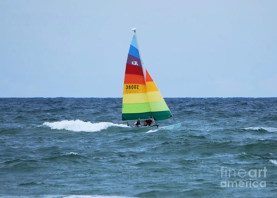 Colorful Sails #2 Photograph by Bob Sample