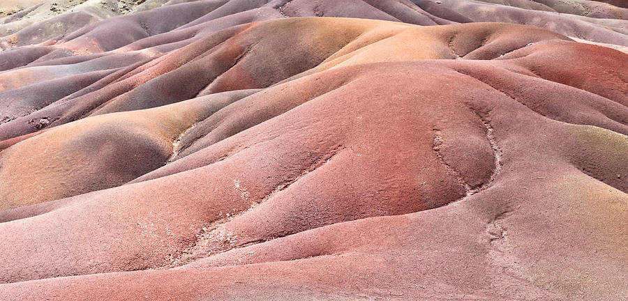 Desert Photograph - Colorful sands #1 by Tom Gowanlock