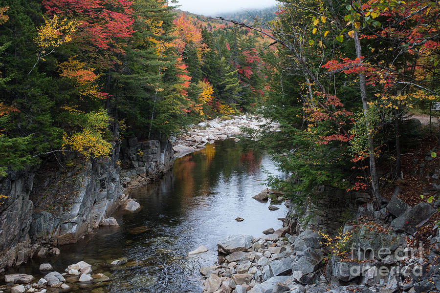 Colors of the Fall Season Photograph by John Greco