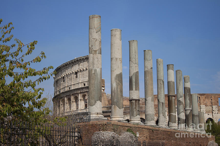 Colosseum Columns Photograph by Ivete Basso Photography