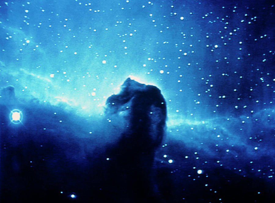 Coloured Optical Photo Of Horsehead Nebula #1 Photograph by Science Photo Library