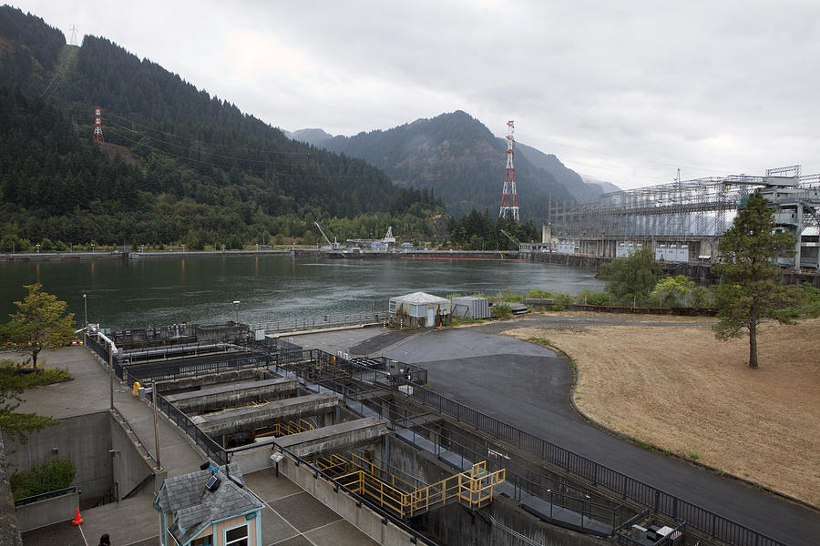 Columbia River Gorge Dam Photograph by Karen Cowled