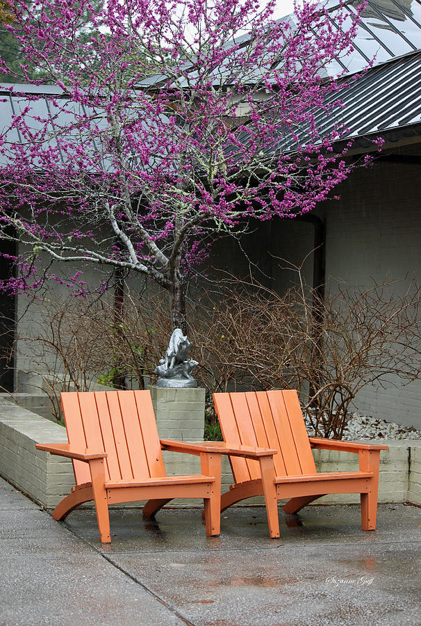 Spring Photograph - Come Sit A Spell #1 by Suzanne Gaff