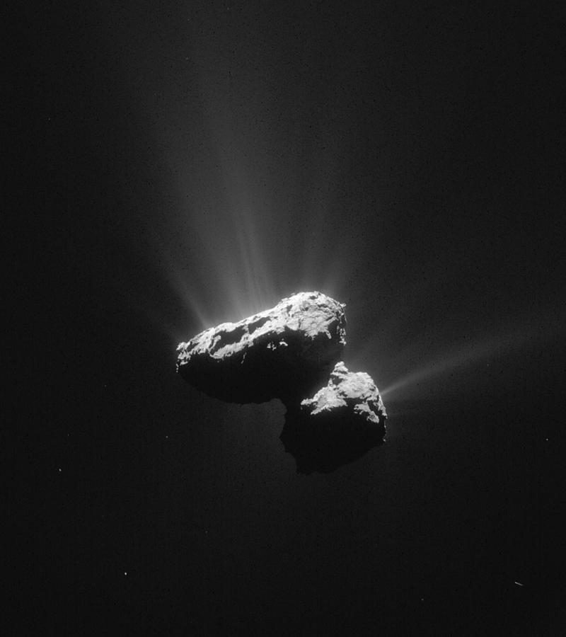Comet 67pchuryumov-gerasimenko #1 Photograph by Science Source