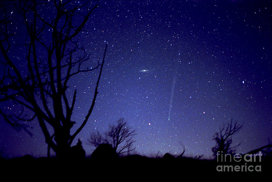 Comet Bradfield #1 Photograph by John Chumack