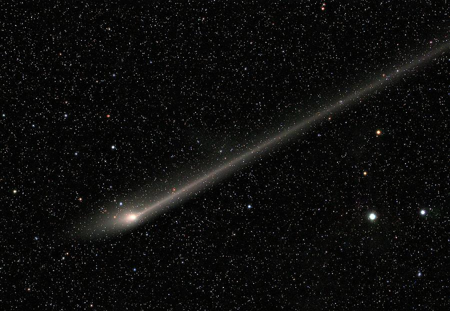 Comet C2011 L4 #1 Photograph by Damian Peach