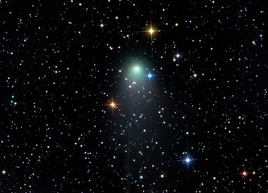 Comet C2012 V2 #1 Photograph by Damian Peach