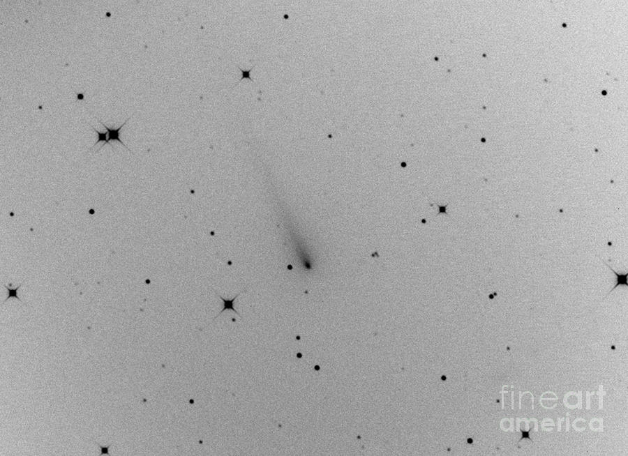 Comet Ison 2012 S1 #1 Photograph by John Chumack