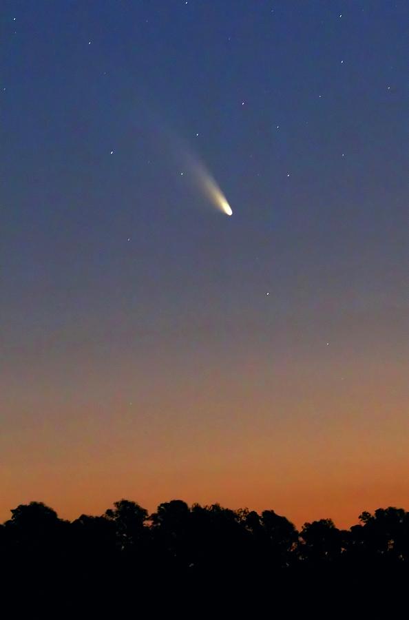 Comet Panstarrs #1 Photograph by Luis Argerich