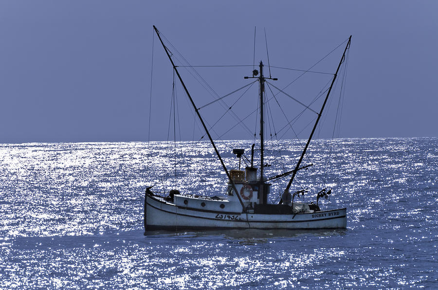 Fish Photograph - Commercial Fishing Boat Dickey Byrd Out Of Half Moon Bay #1 by Scott Lenhart