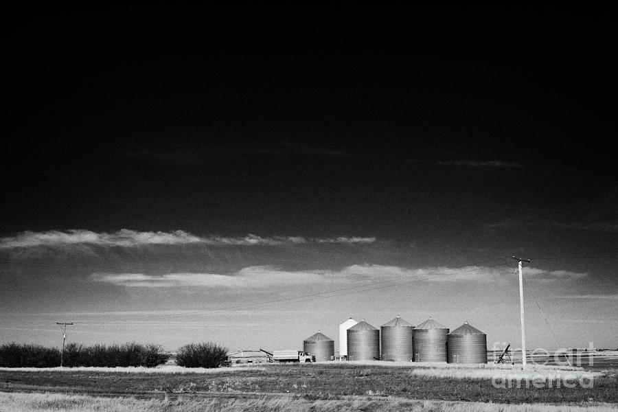 Cereal Photograph - commercial grain storage bins on a farm Saskatchewan Canada #1 by Joe Fox