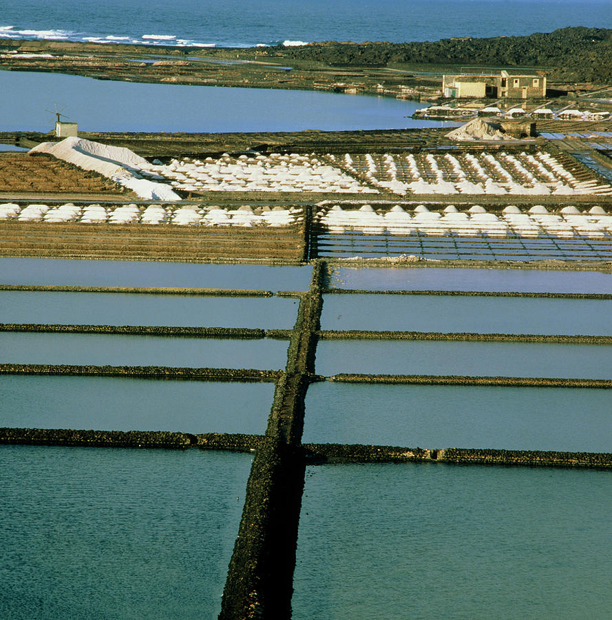 Salt Extraction Photograph - Commercial Sea Salt Extraction Pans #1 by Alex Bartel/science Photo Library