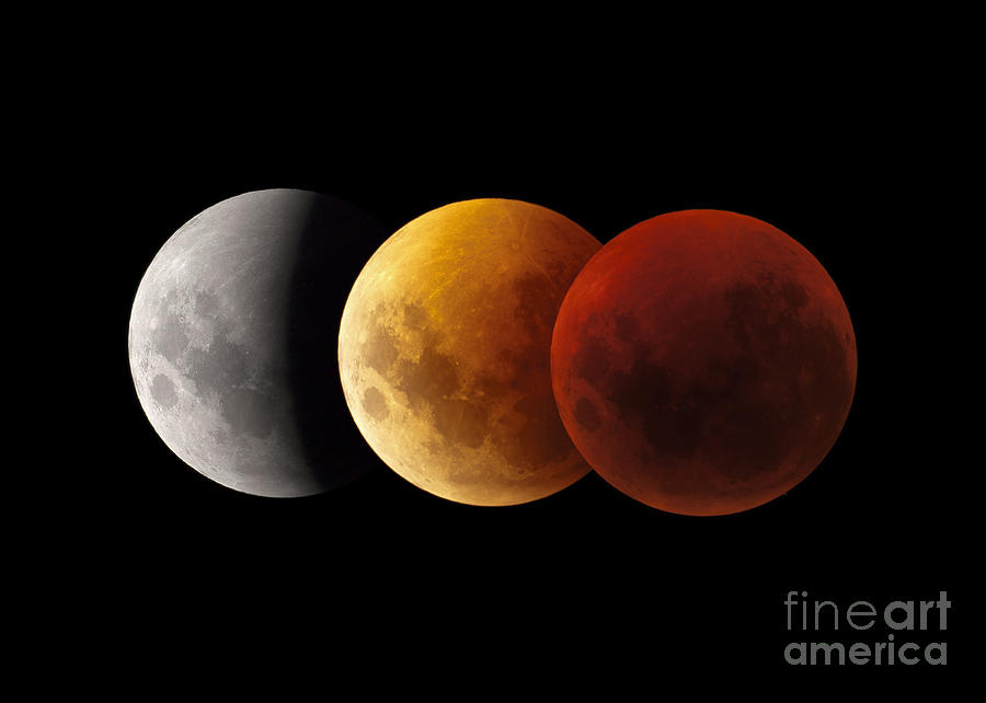 Composite Image Of Lunar Eclipse Photograph by Philip Hart - Fine Art ...