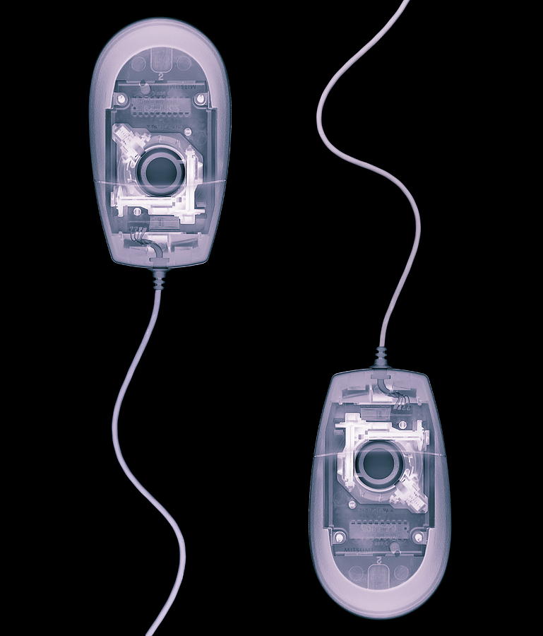Equipment Photograph - Computer Mice by Mark Sykes/science Photo Library Equipment Photograph - Computer Mice by Mark Sykes/science Photo Library
