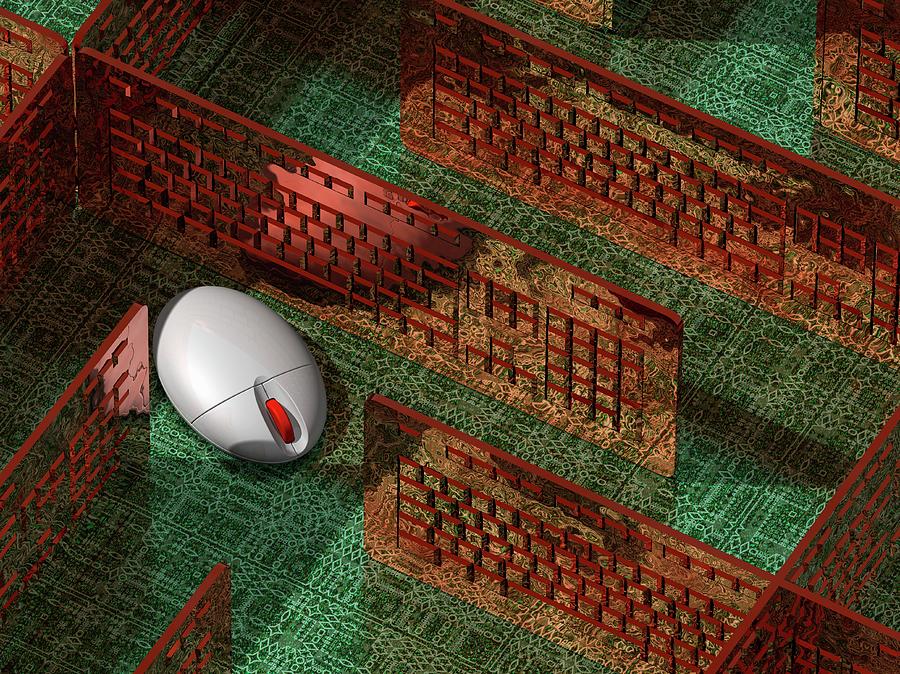 Computer Mouse In A Maze Photograph by Laguna Design/science Photo
