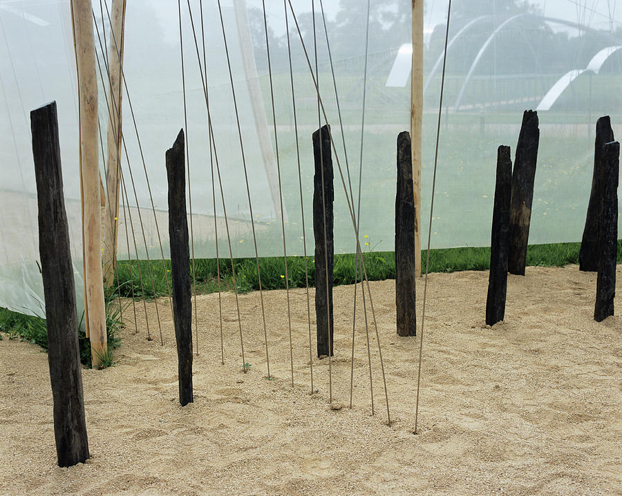 Conceptual Garden - \windshore\ #1 Photograph by Chris Dawe/science Photo Library