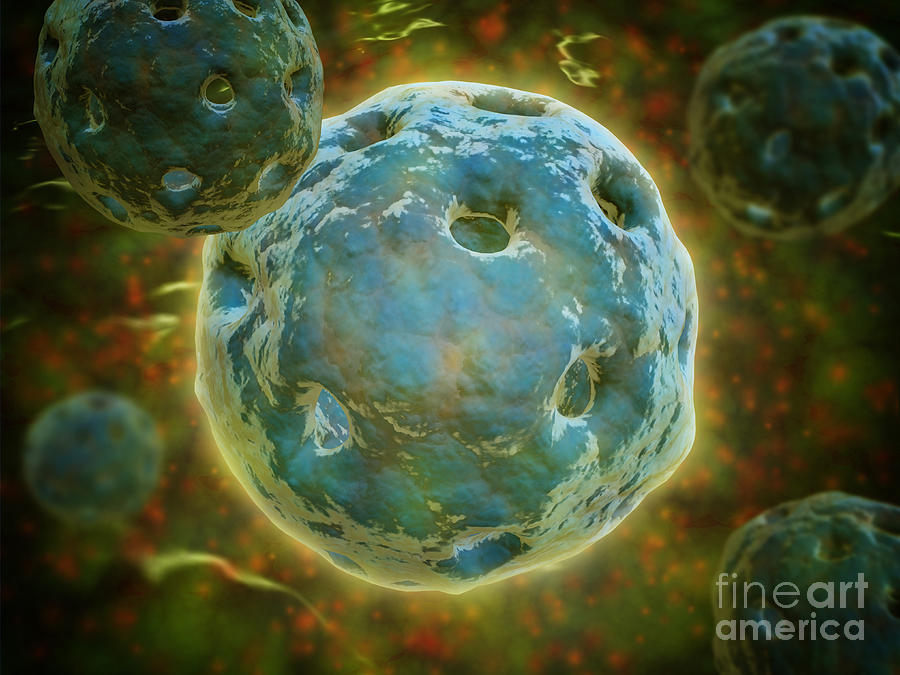 Conceptual Image Of Cell Nucleus #1 Digital Art by Stocktrek Images