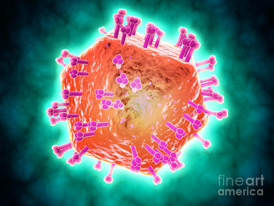 Conceptual Image Of Hiv Virus #1 Digital Art by Stocktrek Images