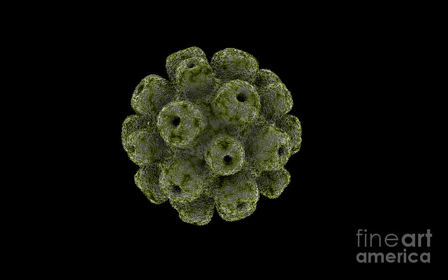 Conceptual Image Of Polyomavirus #1 Digital Art by Stocktrek Images