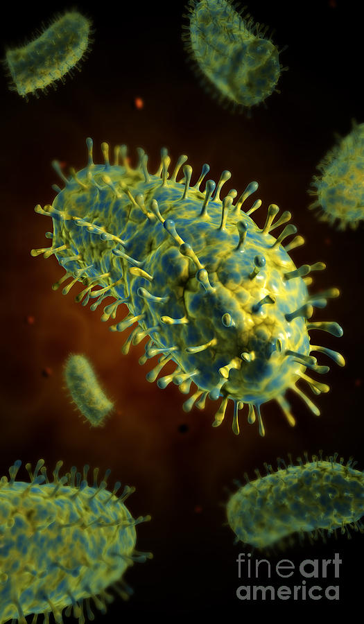 Conceptual Image Of Rabies Virus #1 Digital Art by Stocktrek Images