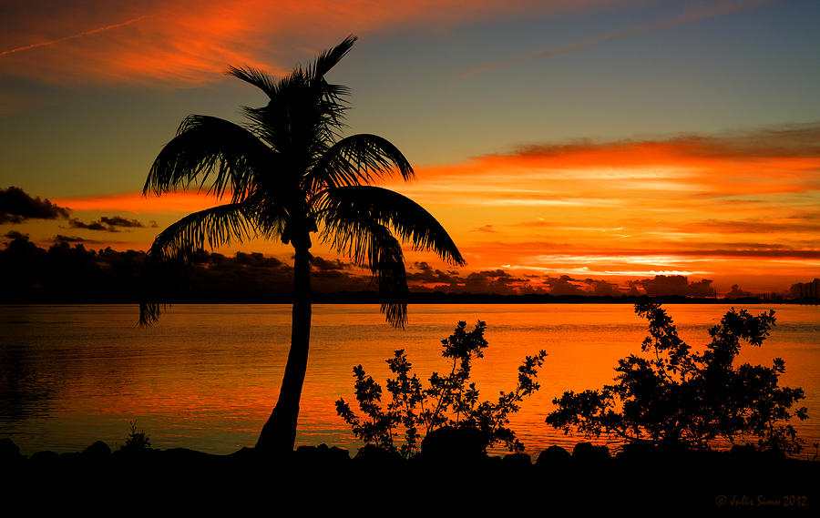 Conch Key Bay Sunset Photograph