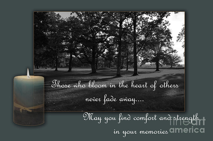 Tree Photograph - Condolence Card #1 by Randi Grace Nilsberg