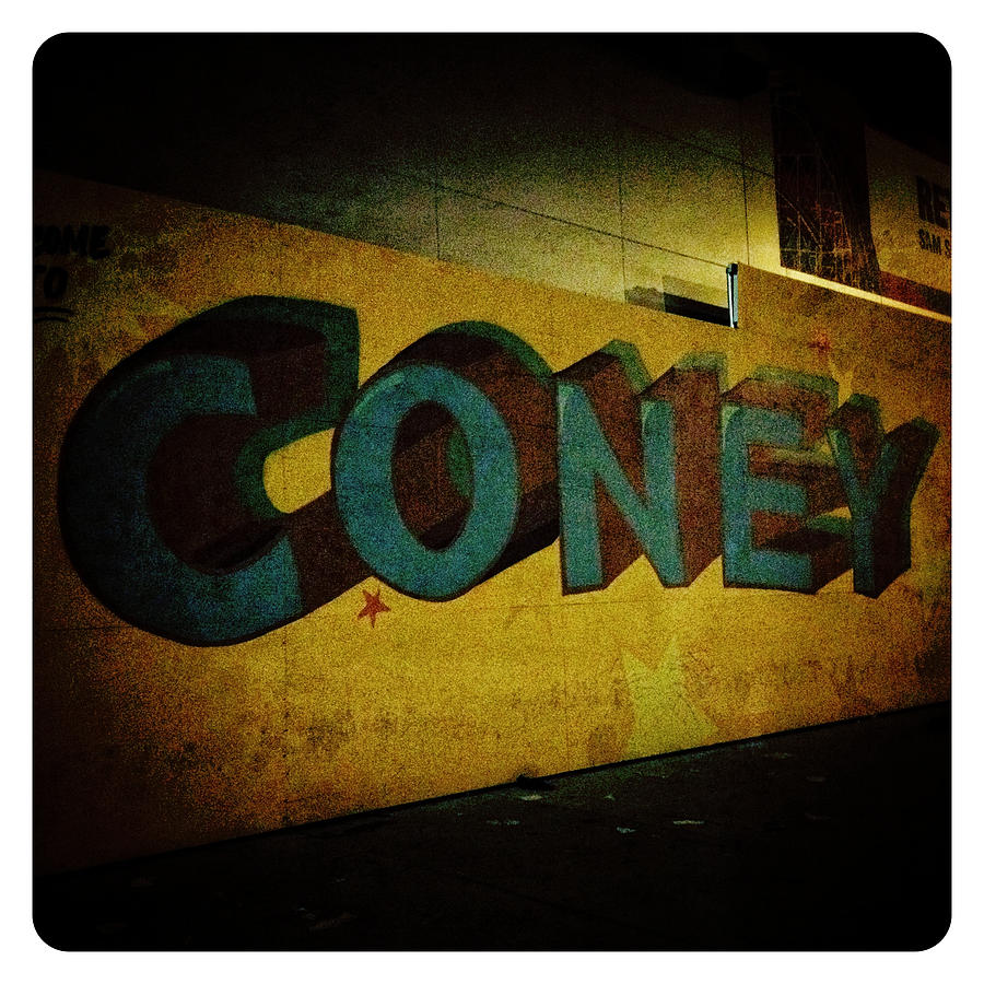 Coney #1 Photograph by Natasha Marco