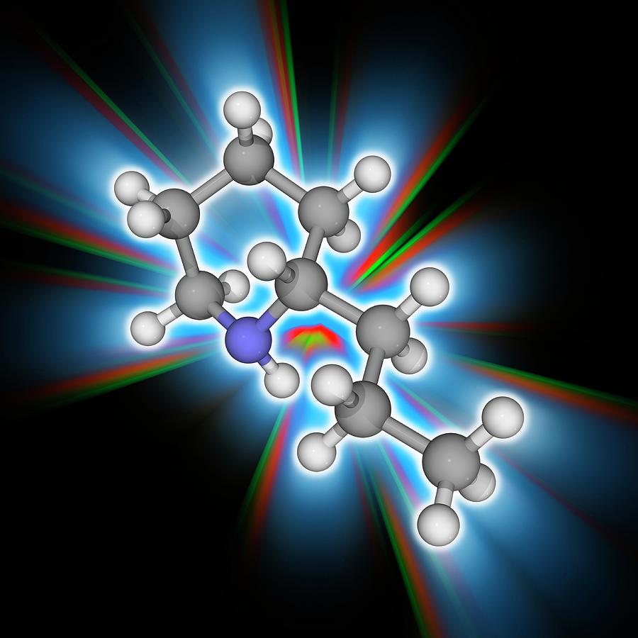 Coniine Organic Compound Molecule Photograph By Laguna Designscience Photo Library Pixels 1259