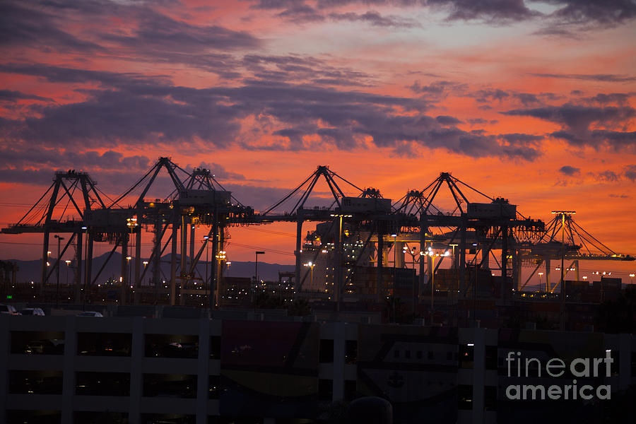 Container Cargo Loading Cranes #1 Photograph by Spencer Grant