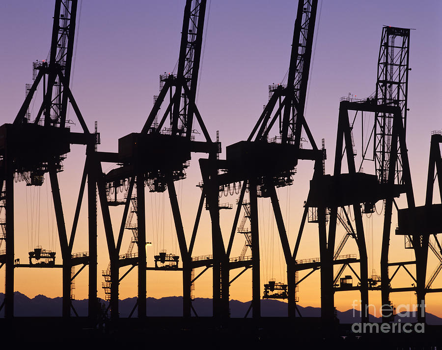 Container Cranes #1 Photograph by Jim Corwin