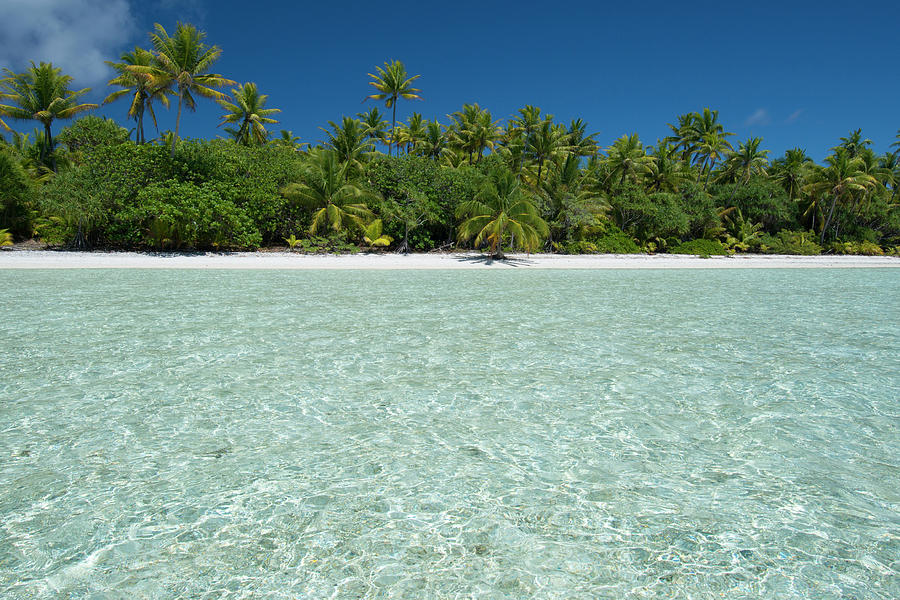 Cook Islands Palmerston Island Photograph by Cindy Miller Hopkins - Pixels