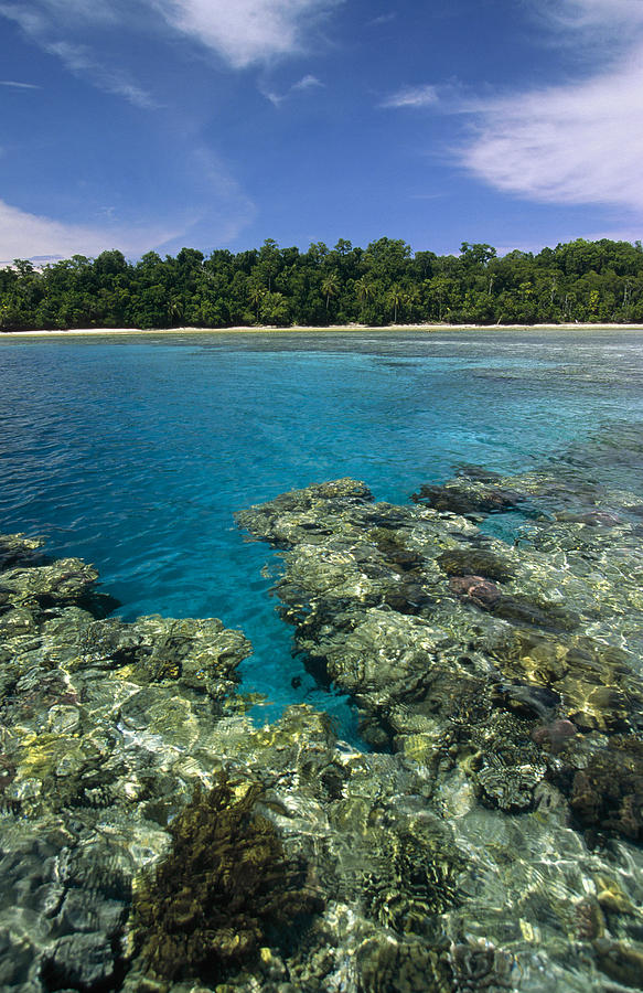 Coral Lagoon And Palm Beach Rani Island #1 Photograph by Konrad Wothe