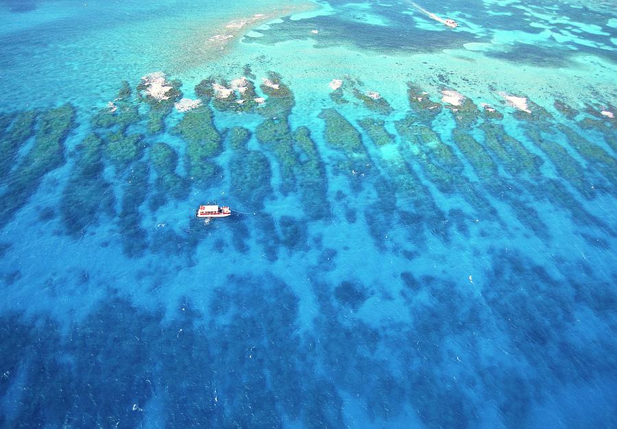 Coral Reef #1 Photograph by Science Photo Library Coral Reef #1 Photograph by Science Photo Library