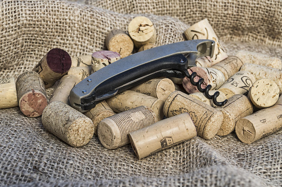 Corks with corkscrew #1 Photograph by Paulo Goncalves