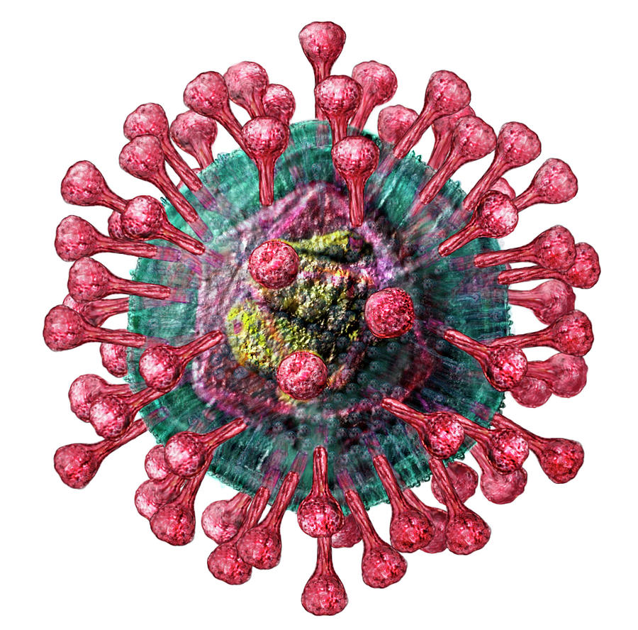 Coronavirus Photograph - Coronavirus #1 by Russell Kightley/science Photo Library