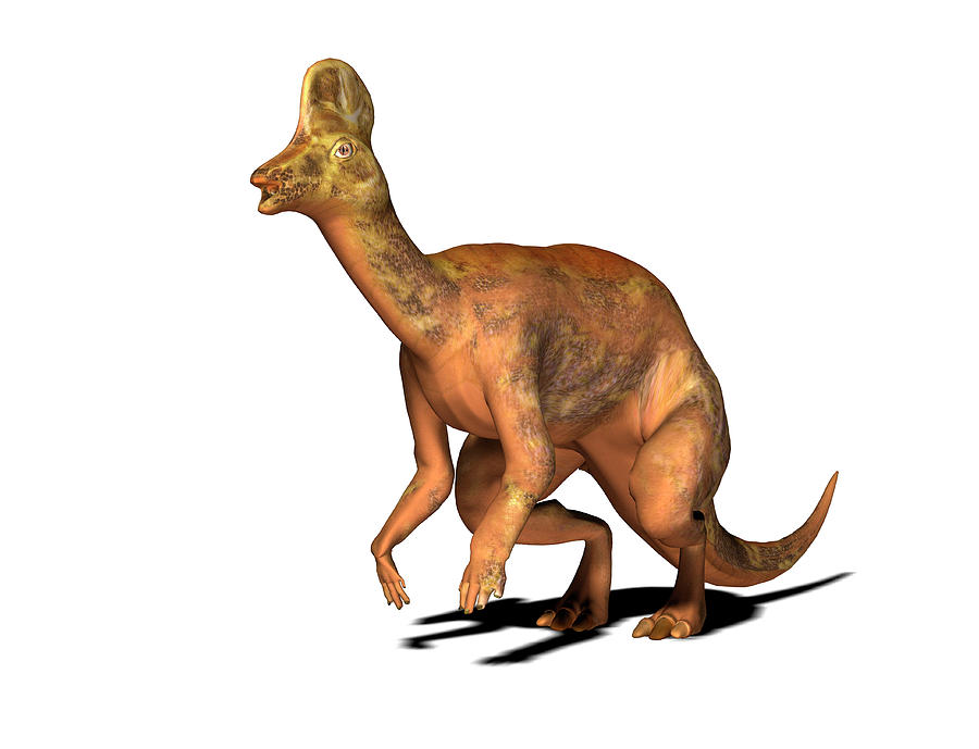 corythosaurus dinosaur with crest on head