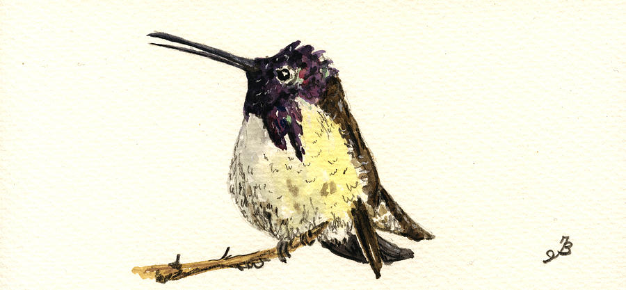Hummingbird Painting - Costa s hummingbird #1 by Juan  Bosco