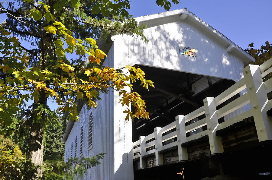 Cottage Grove Or  Covered Bridge Tour #1 Photograph by Wendy Elliott