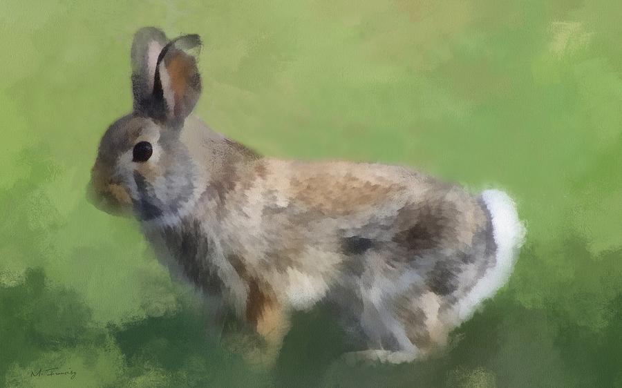 Rabbit Painting - Cottontail Rabbit #1 by Maciek Froncisz