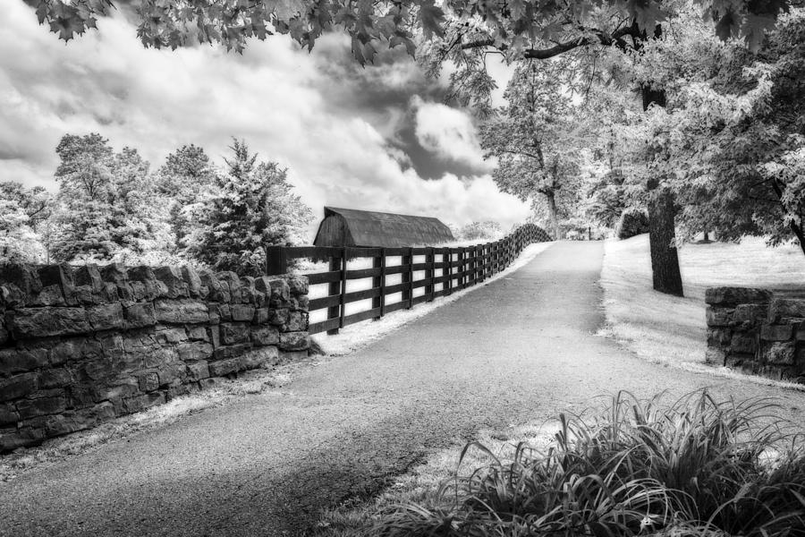 Country alley BW Photograph by Alexey Stiop