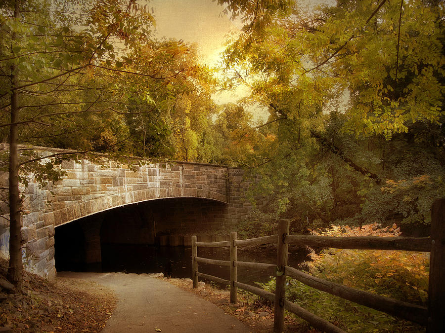 Nature Photograph - Country Bridge #1 by Jessica Jenney