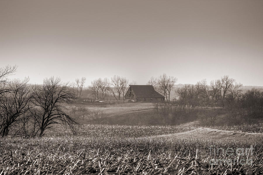 Country Charm #1 Photograph by Thomas Danilovich