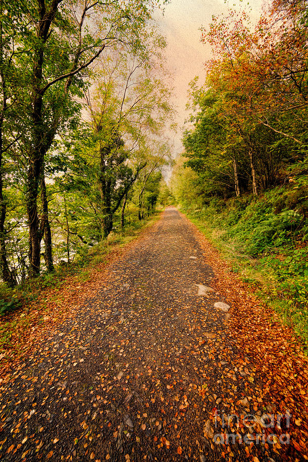 Fall Photograph - Country Lane #1 by Adrian Evans
