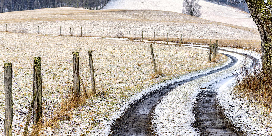 Country Lane in Winter #1 Photograph by Thomas R Fletcher