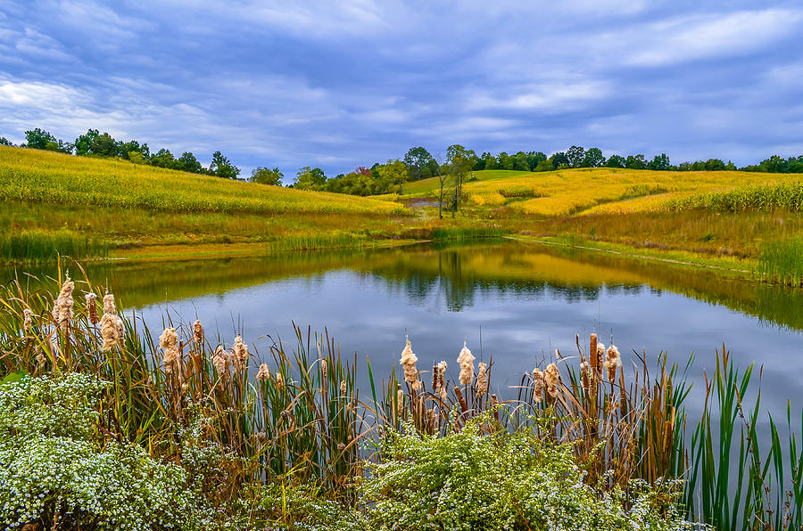 Country Pond Photograph by Brian Stevens