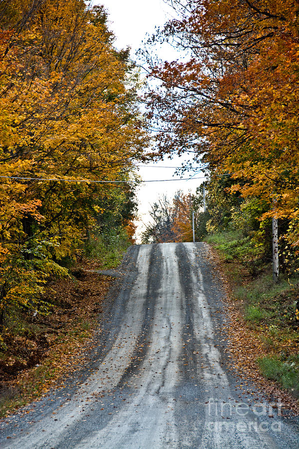 Country Road #1 Photograph by Cheryl Baxter
