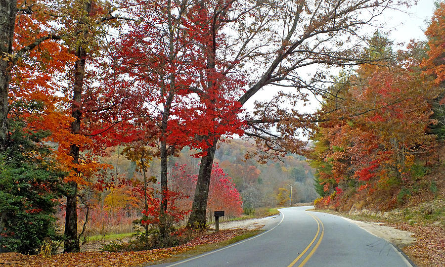 Country Road in the Fall #1 Photograph by Duane McCullough